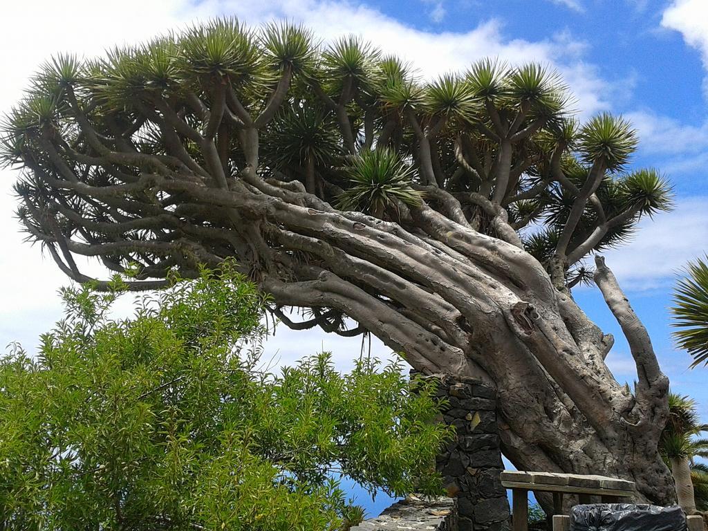La Palmerita Vacacional Los Llanos De Aridane Exterior foto
