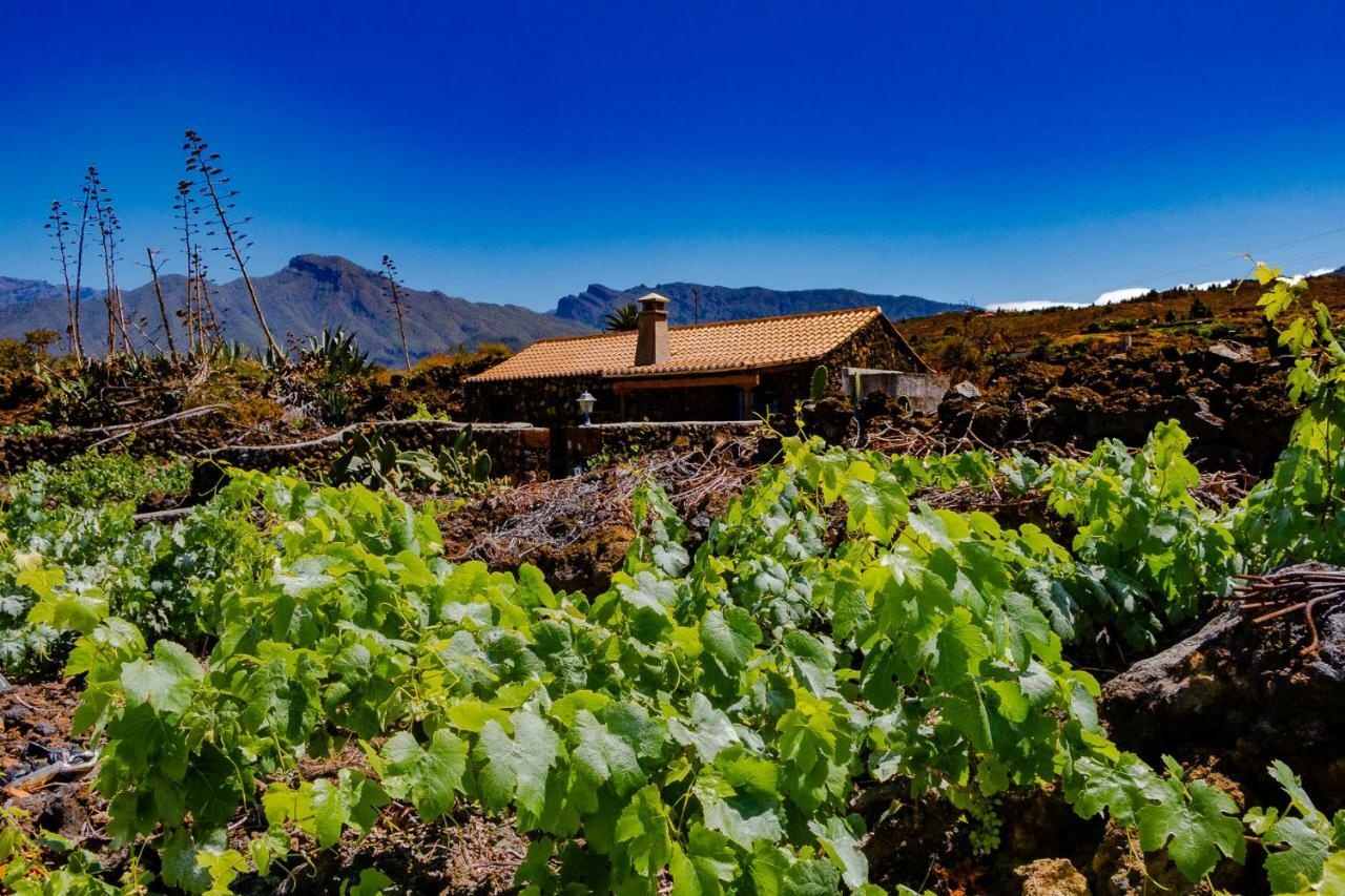 La Palmerita Vacacional Los Llanos De Aridane Exterior foto
